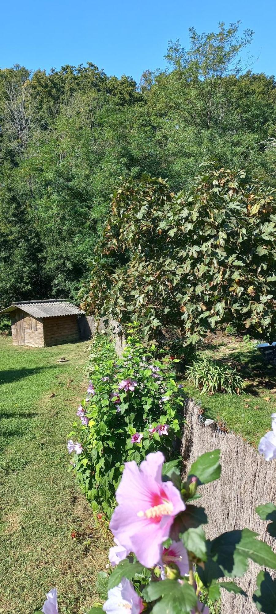 La Casa Bed&Breakfast Entree Independante 26M2 Calme Proche De Tout Wifi Parking Prive Jardin Terrasse Уррюнь Экстерьер фото
